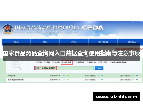 国家食品药品查询网入口数据查询使用指南与注意事项